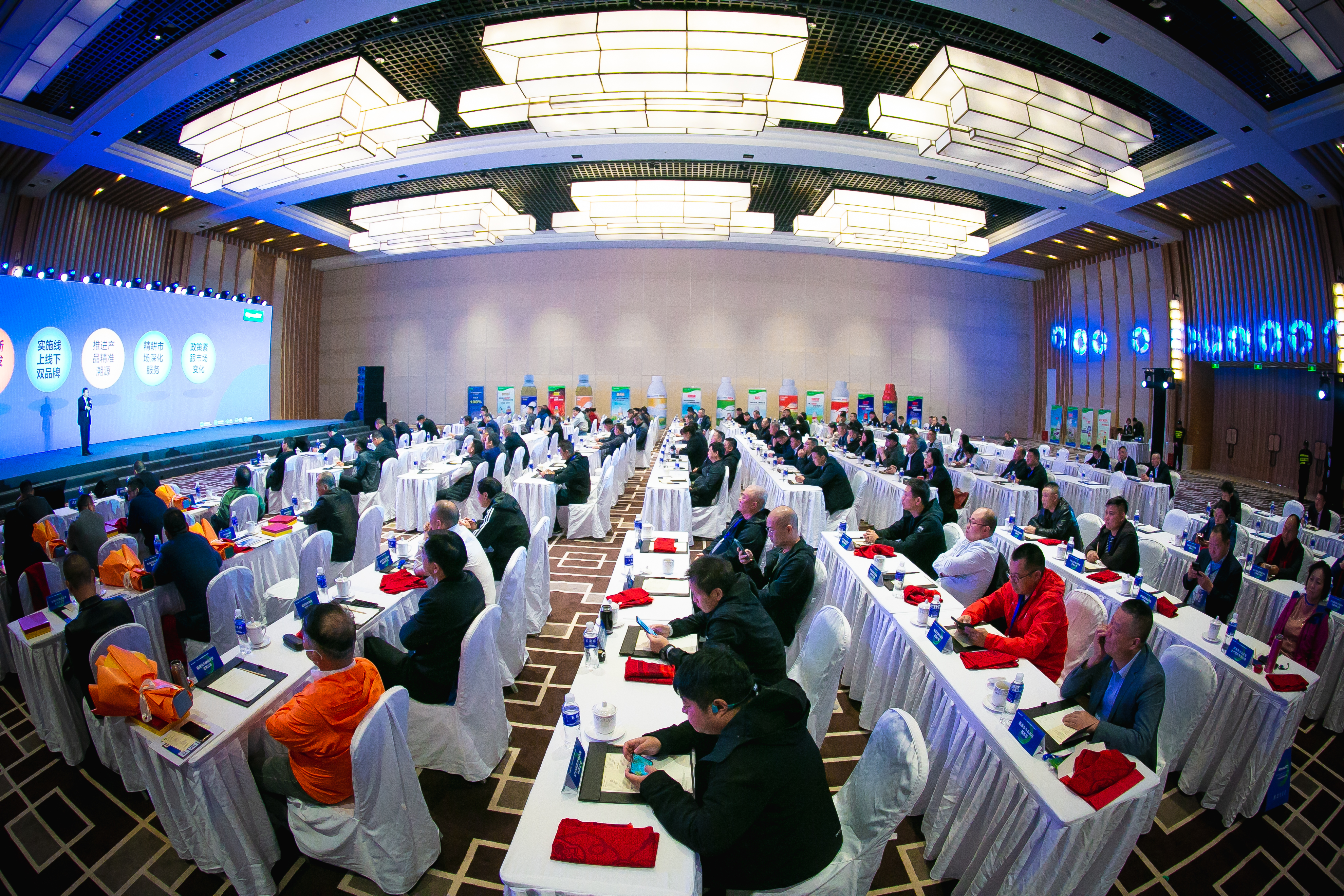 17012418206497085OIO.jpg 17012418206497085OIO.jpg