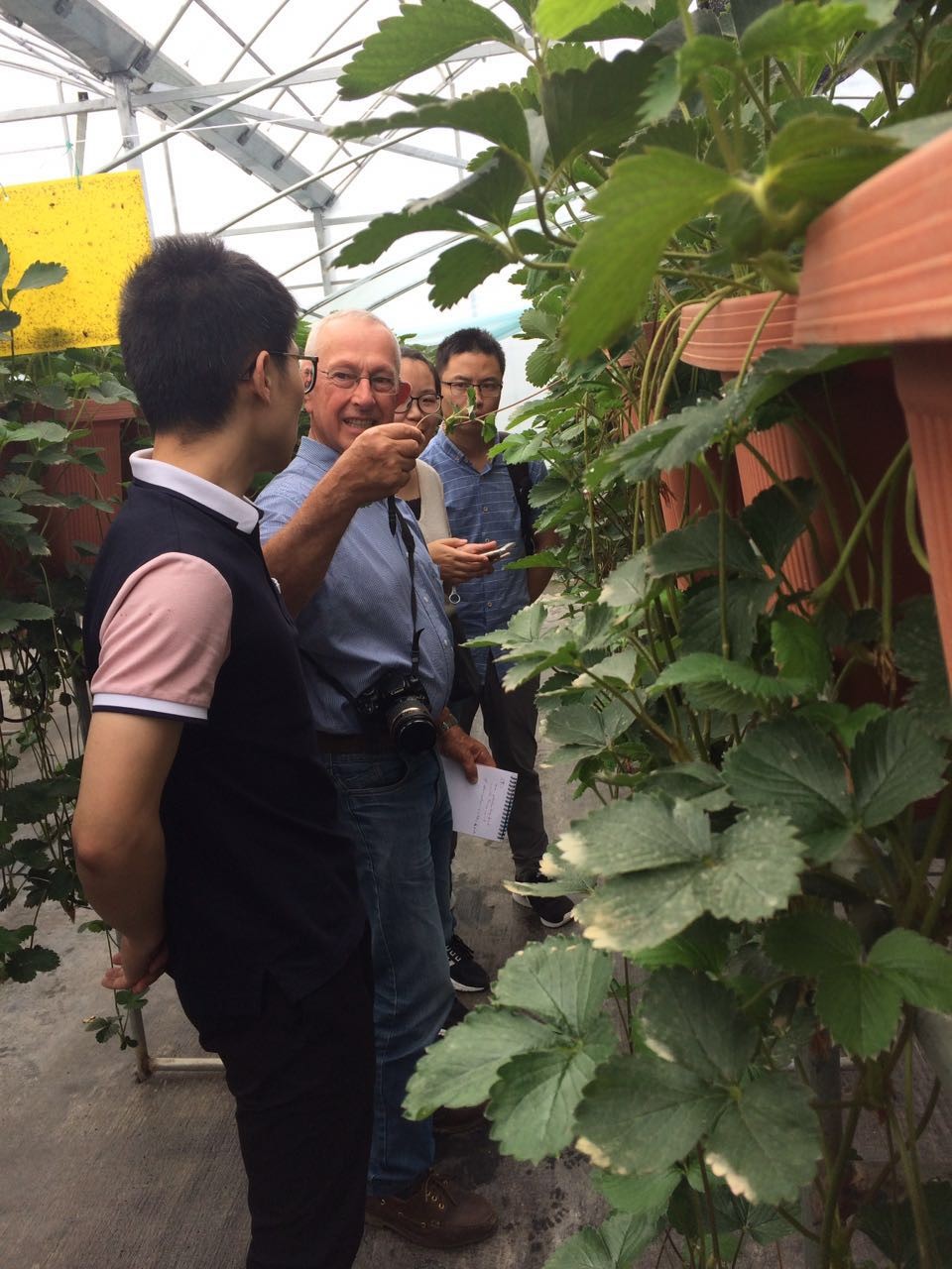 1498811941196724XaqX.jpg 法國農(nóng)藝專家.jpg