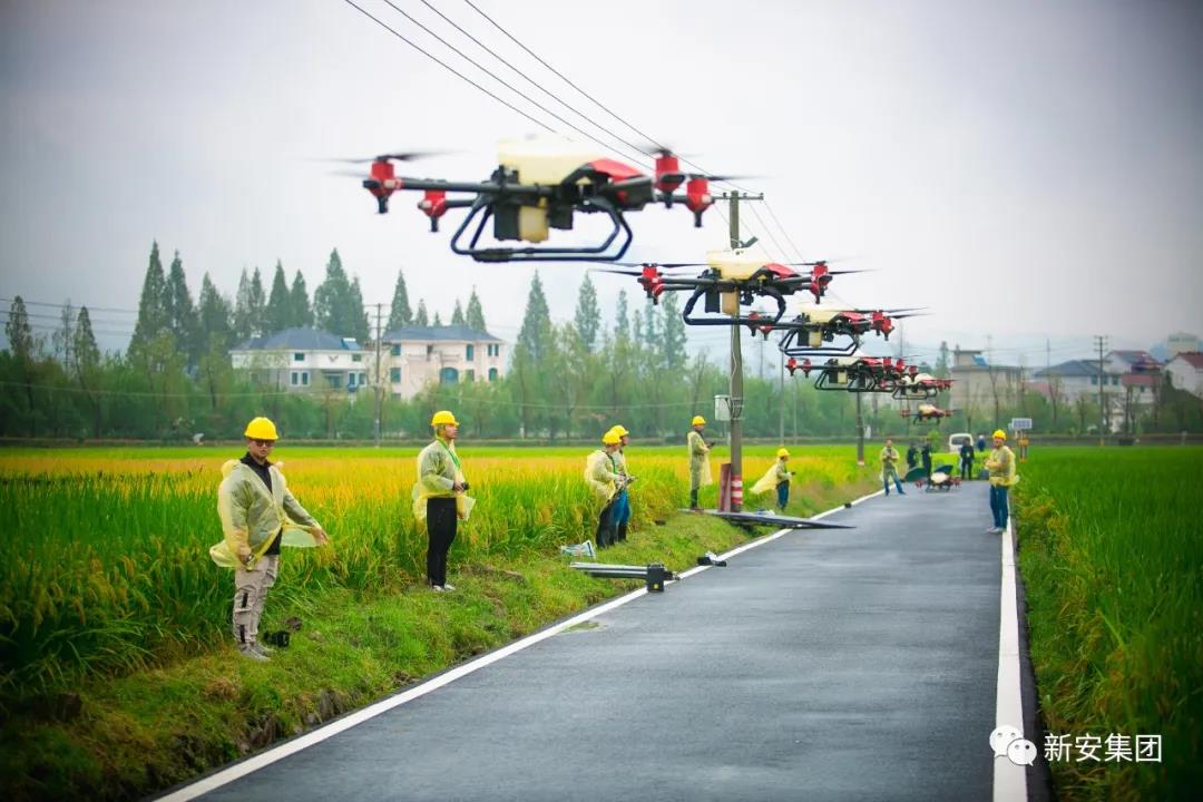 16310900361517795NMK.jpg 16310900361517795NMK.jpg